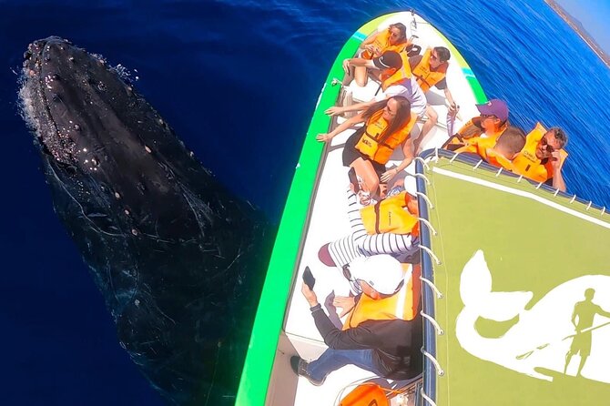 Whale Watching Cabo-Women crew-Sightings Guaranteed & Free Photos - Searching the Sea of Cortez or Pacific Ocean
