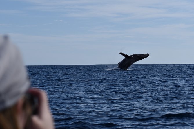 Whale Watching Cabo-Women crew-Sightings Guaranteed & Free Photos - Who will enjoy this Cabo whale watch most?