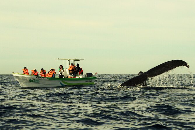 Whale Watching Cabo-Women crew-Sightings Guaranteed & Free Photos - The 20-minute stop at El Arco