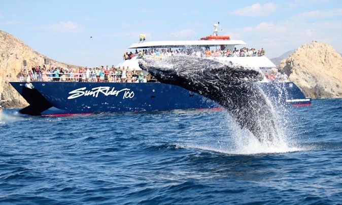 Whale Watching Dinner Cruise in Cabo San Lucas - Cabo’s Arch makes a strong opening scene