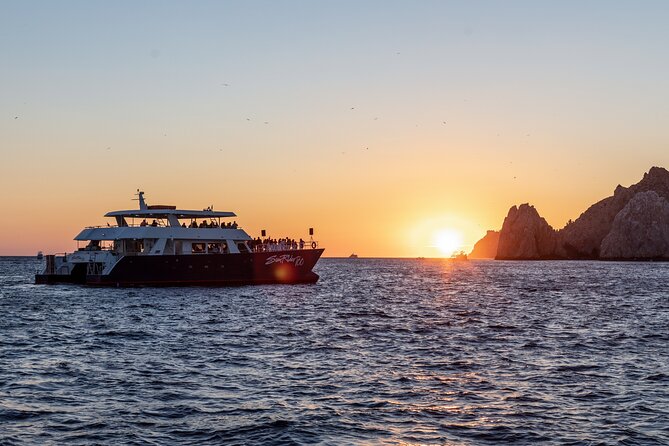 Whale Watching Dinner Cruise in Cabo San Lucas - What $110 really buys you