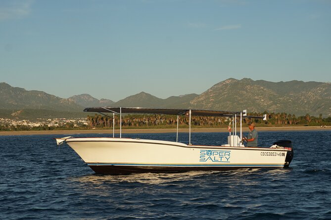 Whale Watching Group Tour in San Jose del Cabo - Two hours on the Sea of Cortez