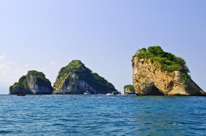 Whale Watching Guaranteed Experience in Puerto Vallarta - What you are really paying for at $99
