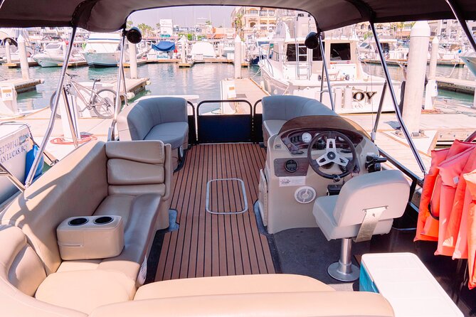 Whale Watching in Cabo San Lucas on board our Luxury Trimaran! - Why a small group makes a difference