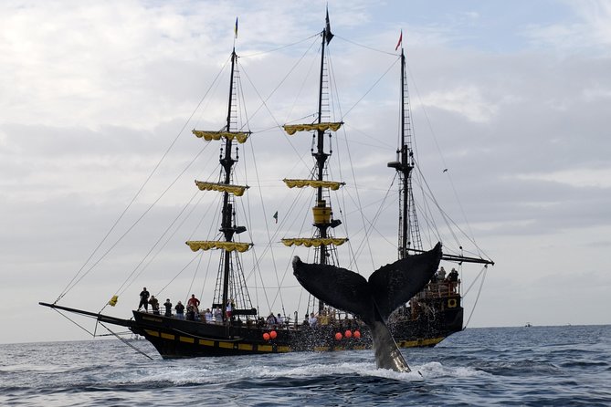 Whale-Watching Pirate Ship Cruise in Los Cabos - Breakfast, coffee, and the open bar