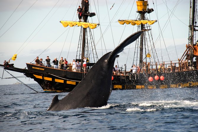 Whale-Watching Pirate Ship Cruise in Los Cabos - Pirate entertainment for children and adults