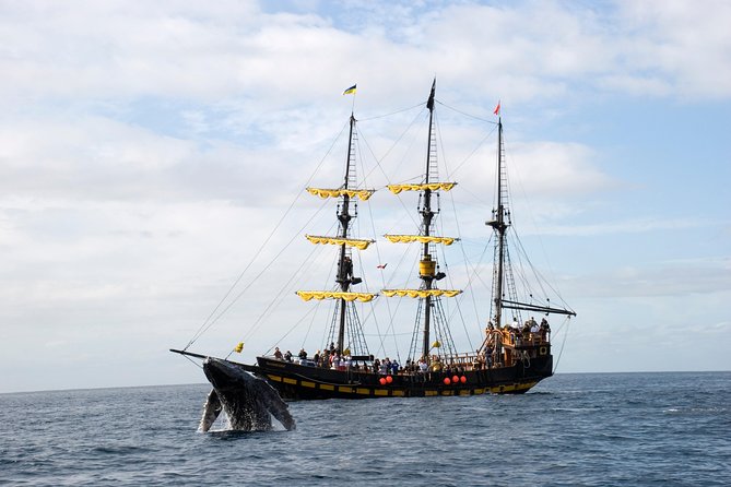 Whale-Watching Pirate Ship Cruise in Los Cabos - Comfort, crowding, and access onboard
