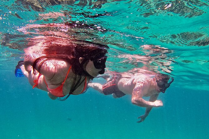 Whale Watching & Snorkeling Combo in Los Cabos with Photos Included - About two hours watching humpback and gray whales