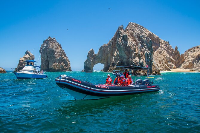 Whale Watching & Snorkeling Combo in Los Cabos with Photos Included - Who will enjoy this experience most?