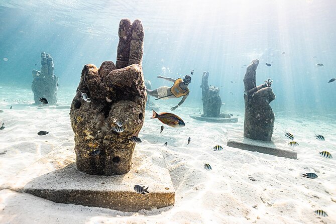 With Turtles, Shipwreck, Cenote, and Reef and Transport Included - The first reef: shallow water and plenty of fish