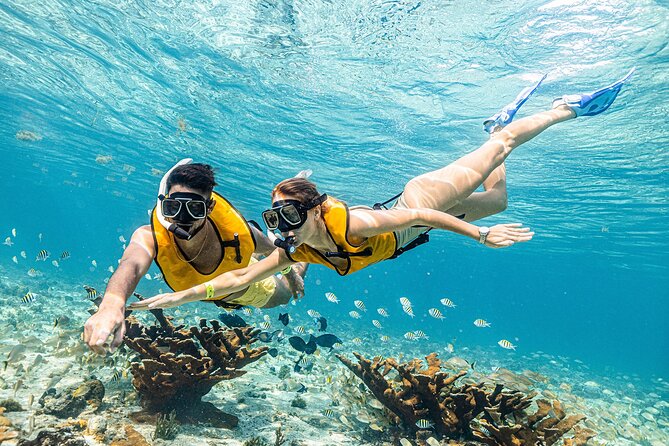 With Turtles, Shipwreck, Cenote, and Reef and Transport Included - The shipwreck, cenote, and underwater museum