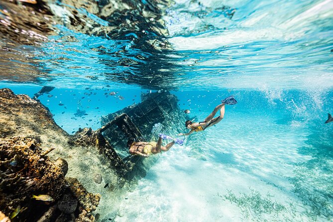 With Turtles, Shipwreck, Cenote, and Reef and Transport Included - Why a group of 10 changes the experience
