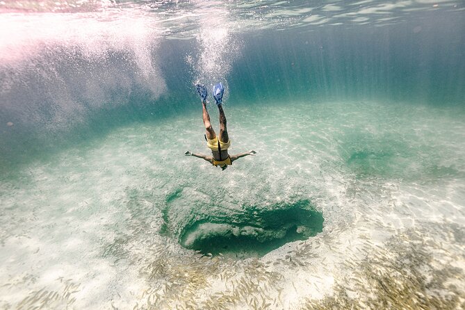 With Turtles, Shipwreck, Cenote, and Reef and Transport Included - The real timing: 2 hours 40 minutes is not the whole day