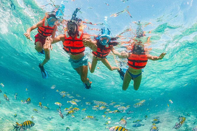 Xcaret Park Day Trip, transportation and Cultural Night Show - Wildlife, Gardens, and Jungle Paths