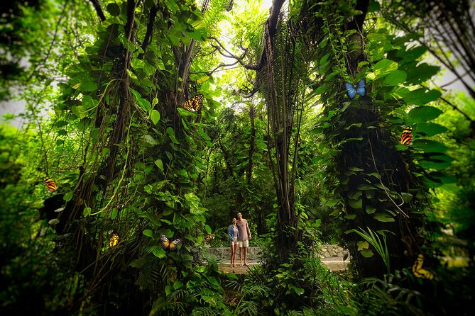 Xcaret Park Day Trip, transportation and Cultural Night Show - Basic or Xcaret Plus?