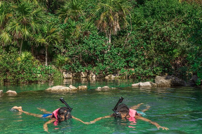Xcaret Park Entry Tickets with Cultural Night Show Included - Choosing Basic, Plus, or Night admission
