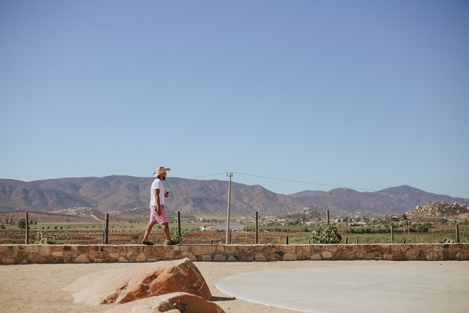 Xecue Wine Tasting in the Guadalupe Valley - Who Will Get the Most From This Visit