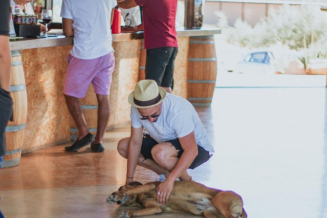Xecue Wine Tasting in the Guadalupe Valley - Practical Details Before You Book