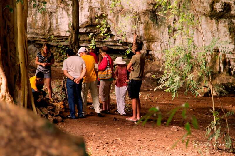 Xkopek, Mayan Bees Tour and Honey Tasting in Valladolid - Why this bee tour is different from a standard tasting