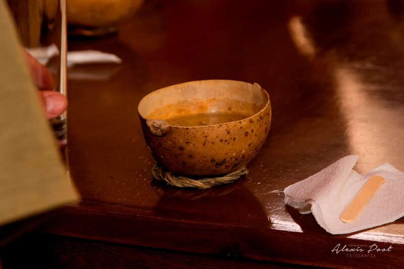 Xkopek, Mayan Bees Tour and Honey Tasting in Valladolid - Who will enjoy Xkopek most