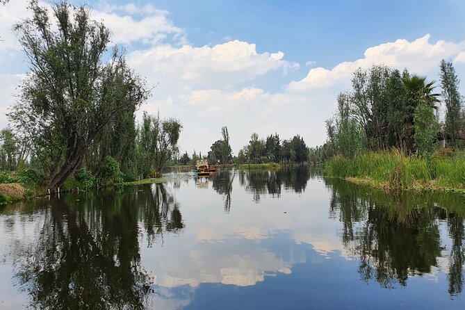 Xochimilco Barco Fiesta Tentacion 18+ with Open Bar and Tacos - Tacos, Flautas, and the Food Question