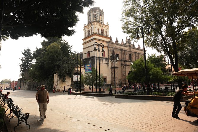 Xochimilco, Coyoacan and Frida Kahlo with Optional Lunch - UNAM murals and the Olympic Stadium