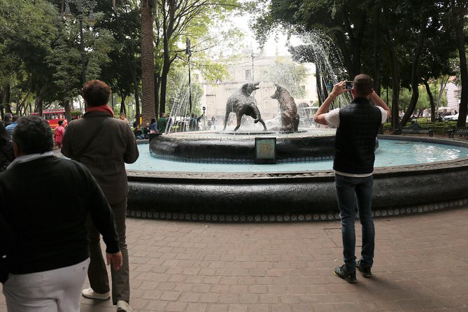 Xochimilco, Coyoacan and Frida Kahlo with Optional Lunch - Who should book this tour