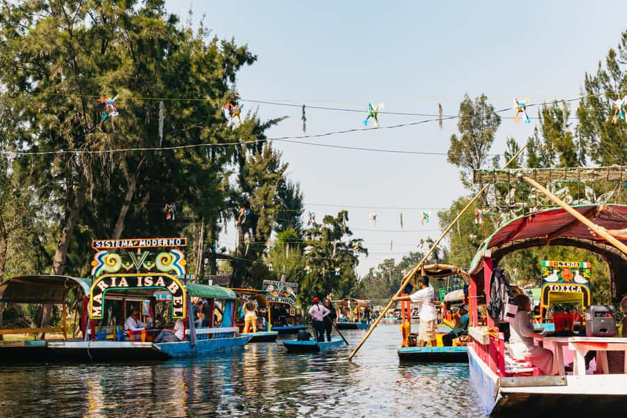 Xochimilco: traditional boat tour, culture, and fun. - Key points to know before booking