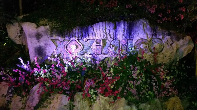 Xoximilco Ticket: Boat Fiesta, Traditional Tasting & Tequila Bar - Boarding a decorated trajinera at 7 p.m.