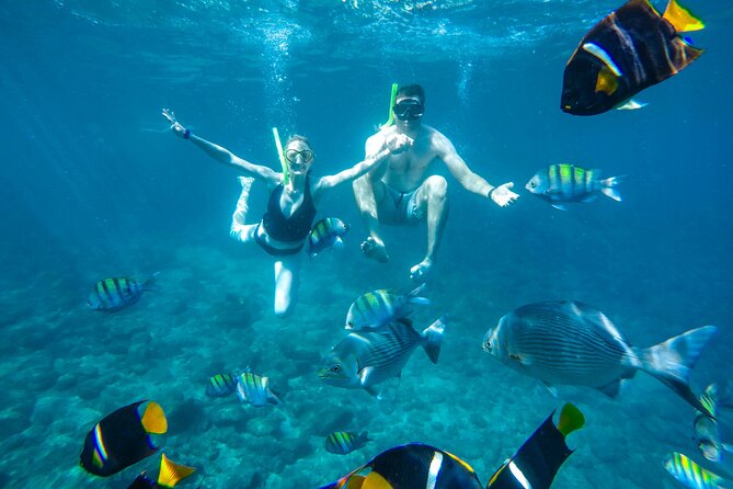 Yelapa Waterfall, BBQ at Exclusive Majahuitas Beach & Open bar - Who will enjoy this Puerto Vallarta excursion?