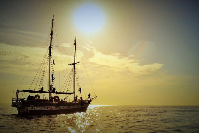 Yo Ho Pirate Sunset Dinner Cruise in Cabo San Lucas - Price, extra fees, and practical planning